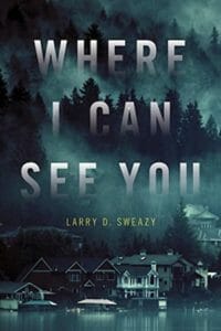 Where I Can See You by Larry D. Sweazy 