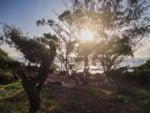 Sunny Kauai morning at Lydgate Beach Park