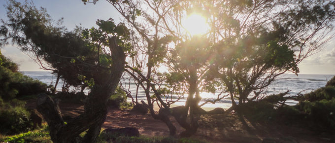 Sunny Kauai morning at Lydgate Beach Park