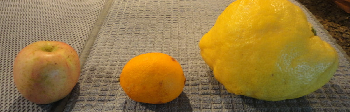 Apple, orange, or lemon