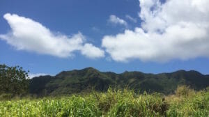 Kauai island photo - Haupu