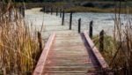 Footbridge leading to dirt trail