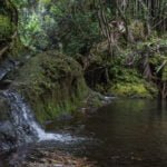 Mini waterfall into Onomea Bay