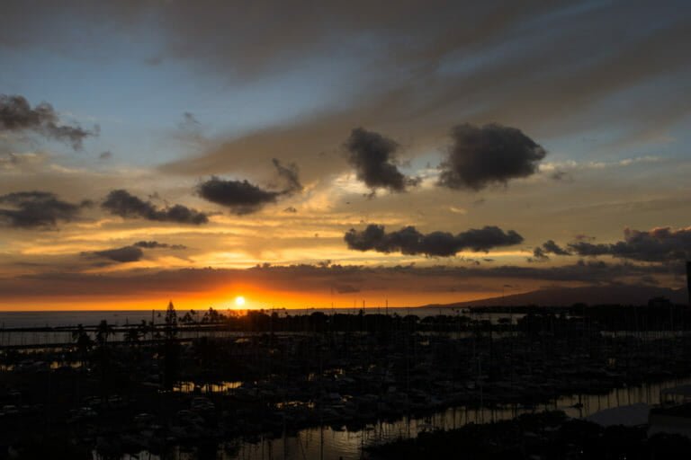 Friday Fotos Whale of a good time at Museum Terry Ambrose