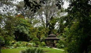 San Diego Botanic Garden gazebo