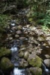 Big Island back country stream