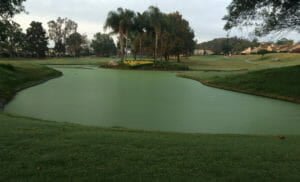 Weird green pond at golf course