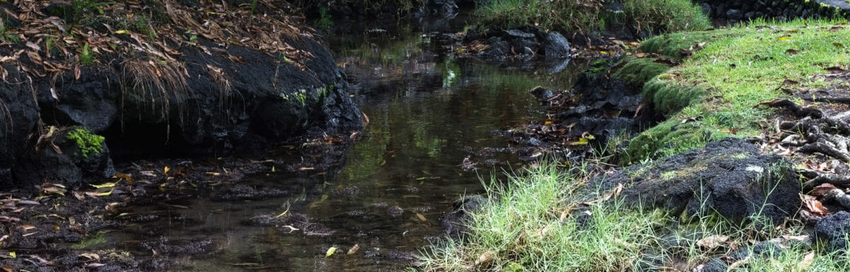 Creek at Liliuokalani Park in Hilo