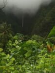 Waterfall along road to iao Valley