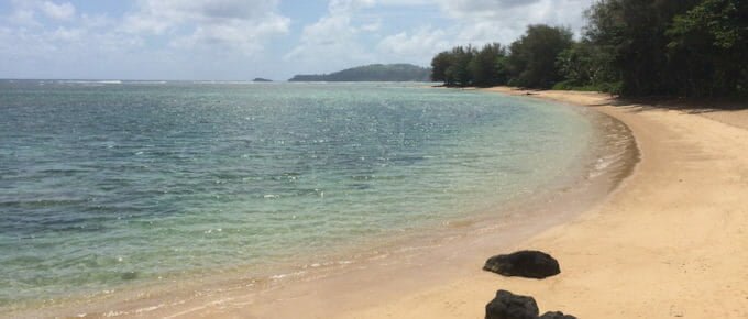 Along Anini Beach Road