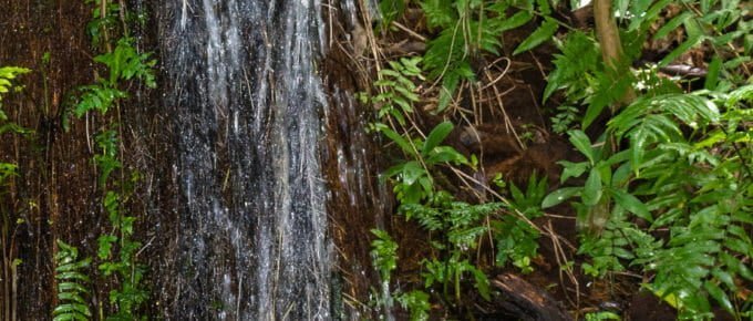 Waterfall onthe grounds at Byodo-In Temple