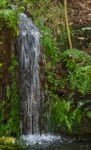 Waterfall onthe grounds at Byodo-In Temple