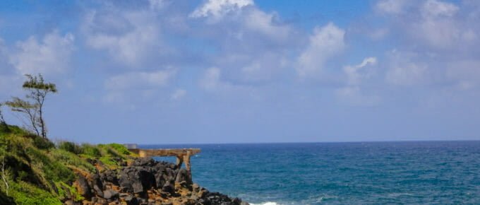 The Pineapple Dump from a distance