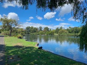 Lakeside Park is huge with plenty of places to roam