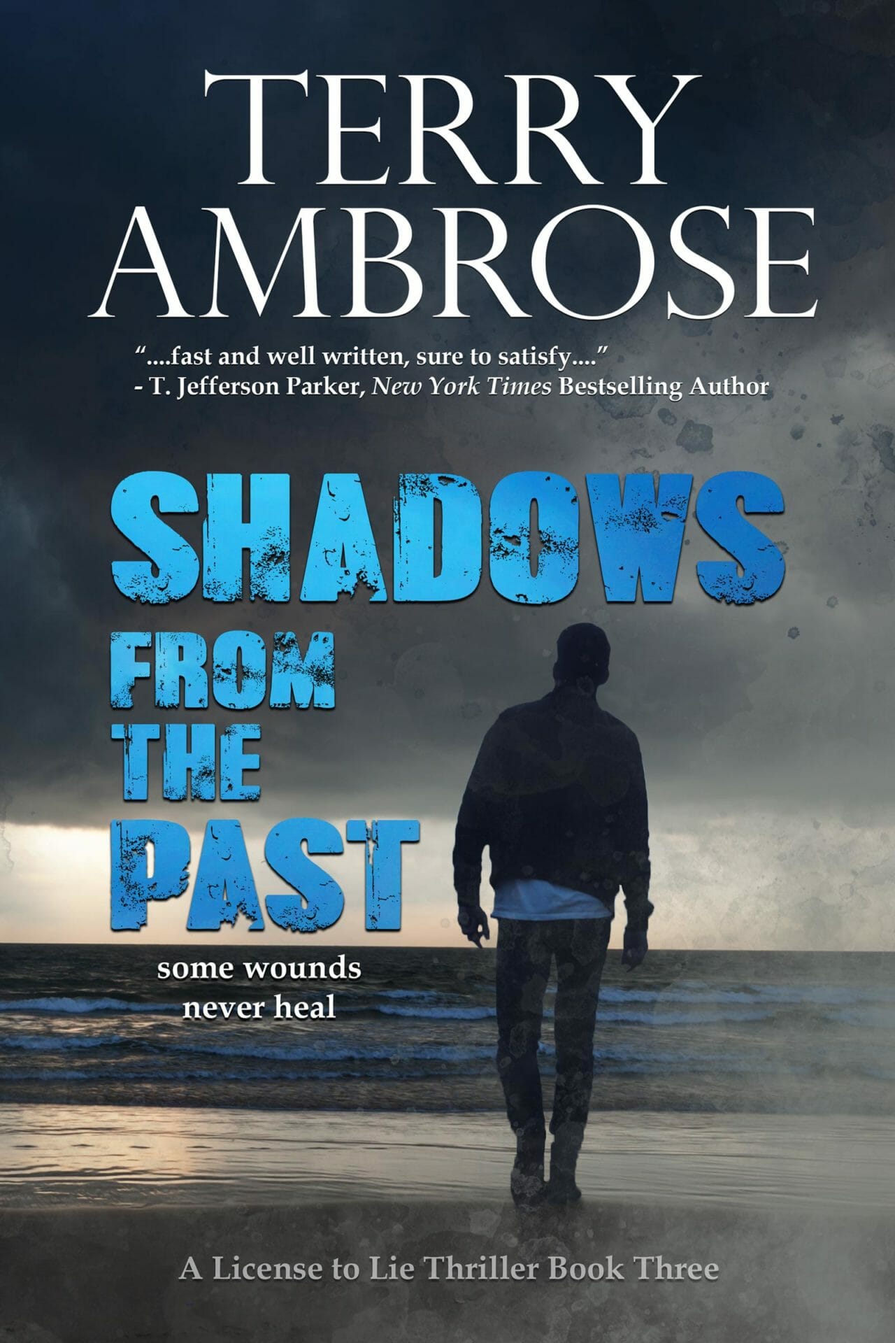 Shadows from the Past - Book 3 in the License to Lie Thriller series