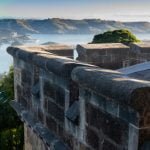 Views from the top of Larnach Castle