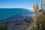 View from a backyard in Tauranga