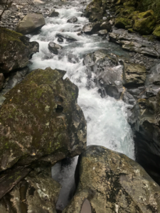 image172.png