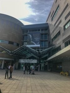 Te Papa Museum