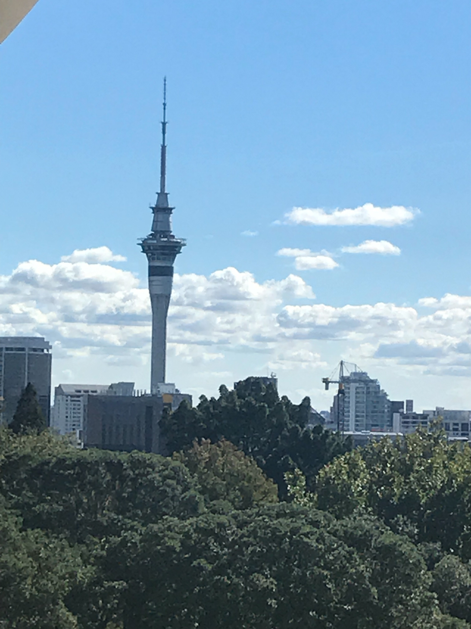 Downtown Auckland from the war memorial