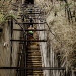 99 steps