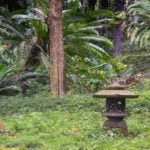 Japanese stone lantern at Foster Botanic Garden