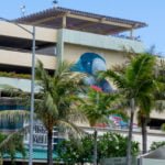 Street art in Honolulu