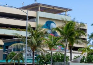 Street art in Honolulu