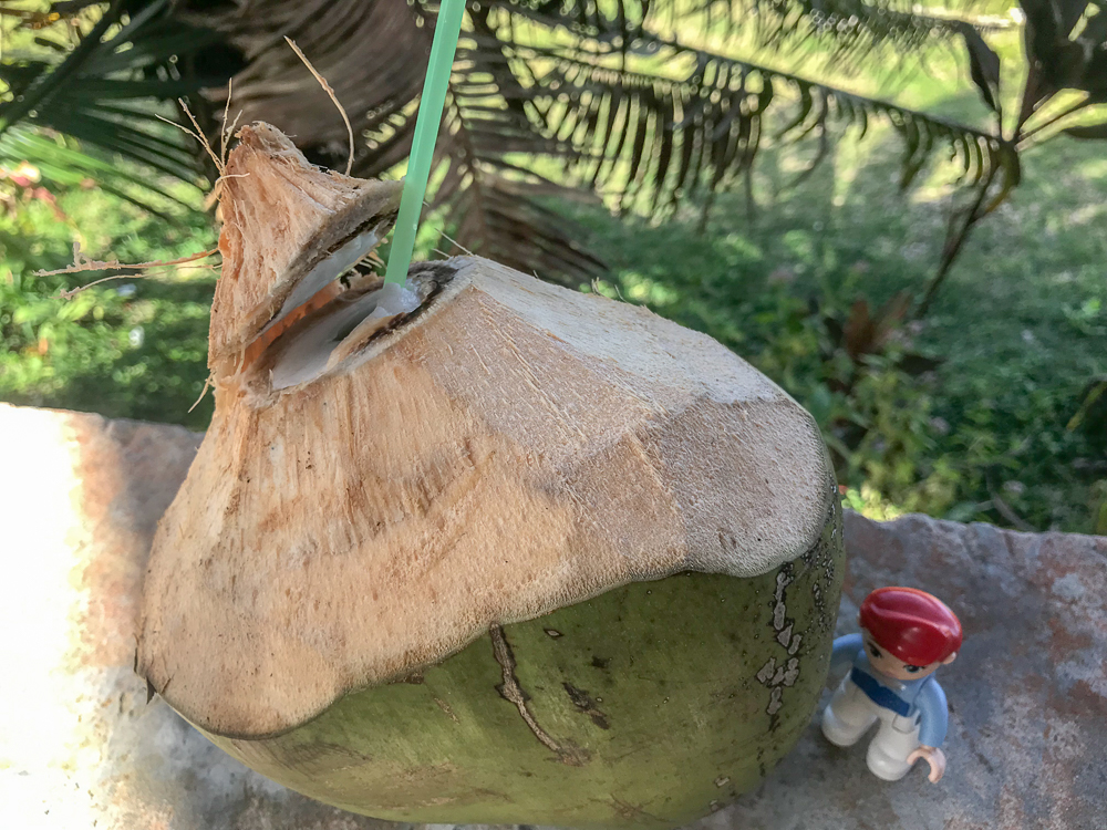 Ariel is ready for a coconut drink!
