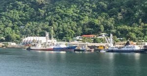 Along the shore of Pago Pago