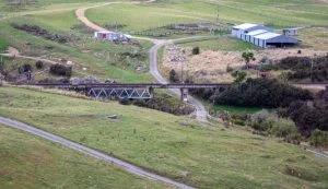 Near Taurangi New Zealand