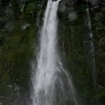 Approaching the falls at Milford Sound