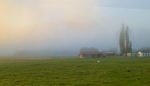 New Zealand farm on the road