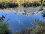 Mountains reflected in Mirror Lakes