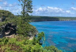 Shoreline along the coast of Lifou Island