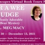 Bear a Wee Grudge tour graphic