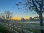 Sunrise near home