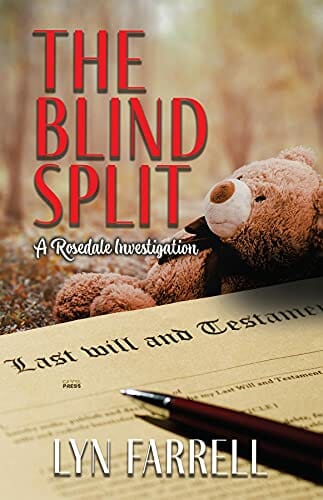 The Blind Split cover by Lyn Farrell