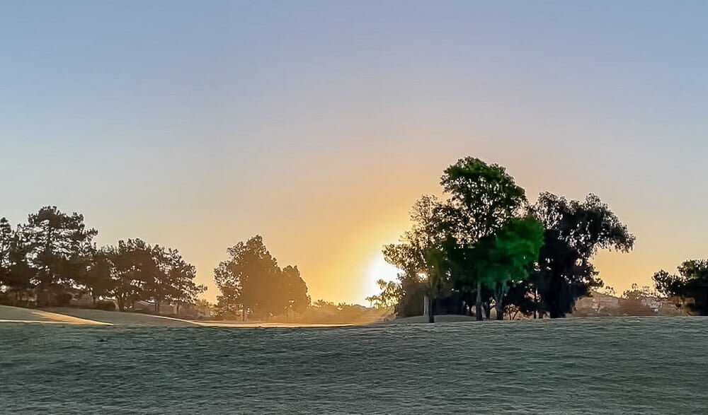 Rising sun behind trees