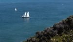 This tall ship was sailing off the San Diego coast. Looks like quite the adventure!