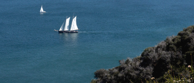 This tall ship was sailing off the San Diego coast. Looks like quite the adventure!