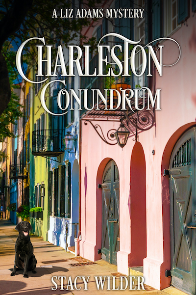 Charleston Conundrum by Stacy Wilder