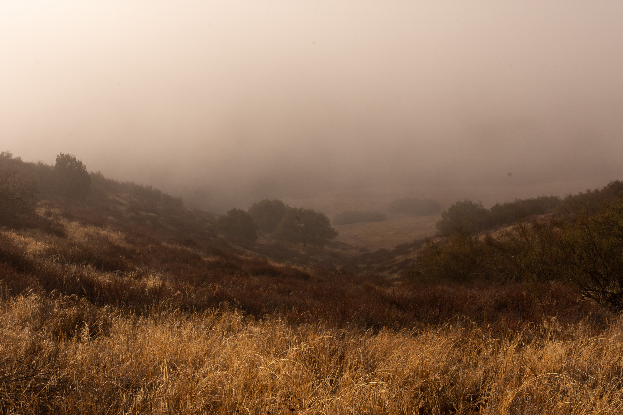 This shot was taken at 9:14 AM, just as the fog began its retreat.