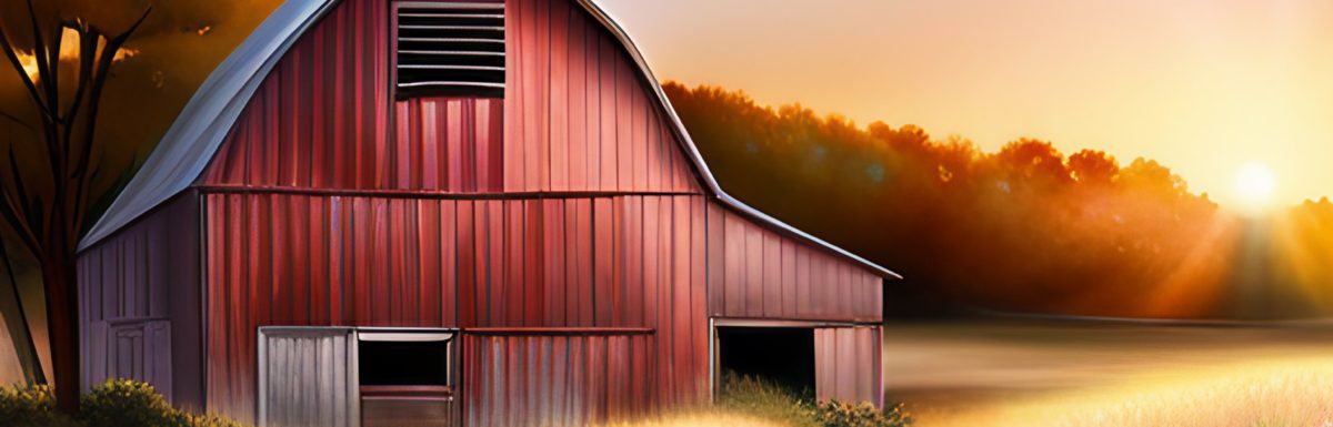 The beauty of barns