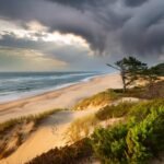 Inspired by Cape Cod National Seashore