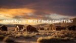 Inspired by the ghost town, Bodie, CA