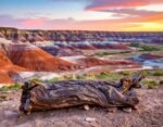 Inspired by the Petrified Forest and the Painted Desert