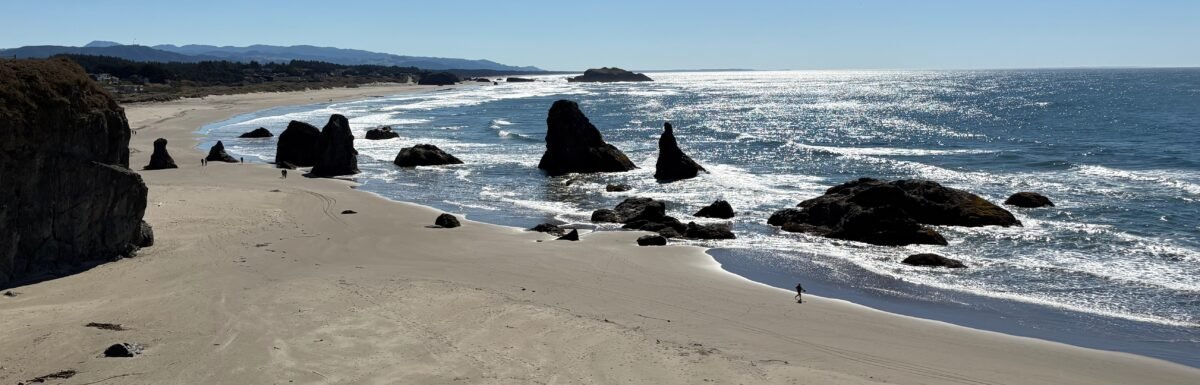 Photo Credit: Terry Ambrose - 6 October 2025 - Bandon, OR near Face Rock