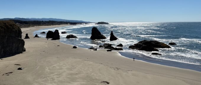 Photo Credit: Terry Ambrose - 6 October 2025 - Bandon, OR near Face Rock