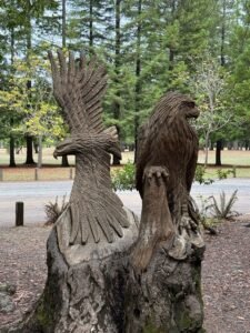 Wood carvings at the drive-through tree park